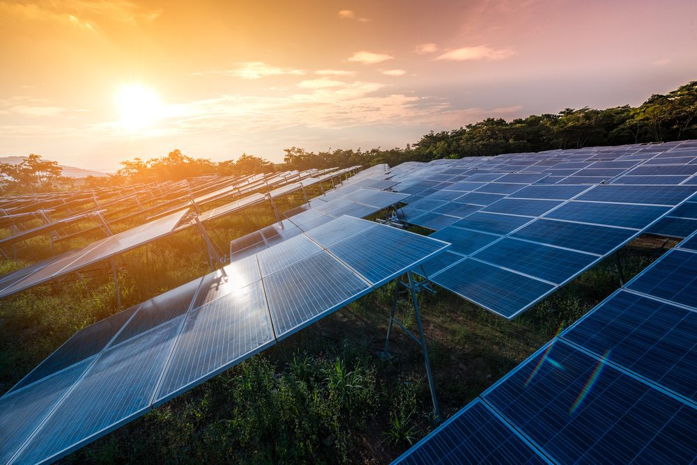 A solar farm at sunset