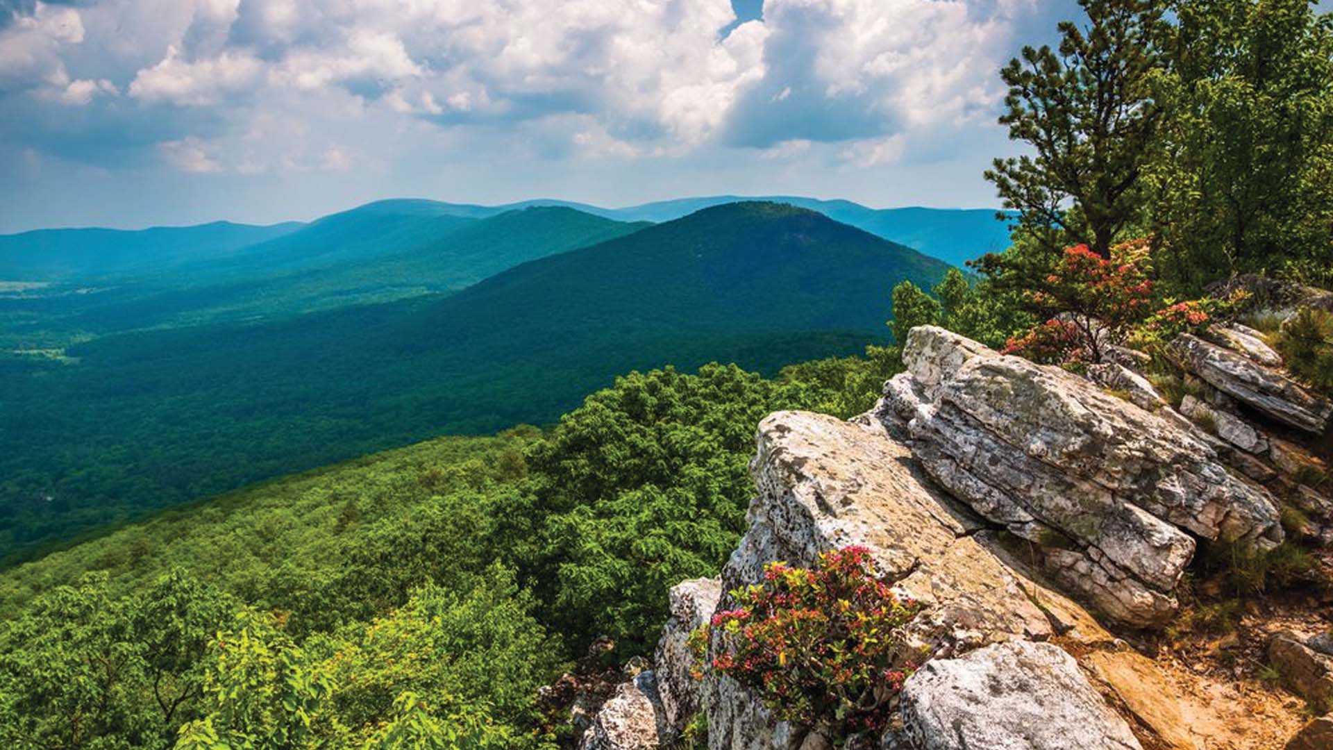 George Washington National Forest, West Virginia