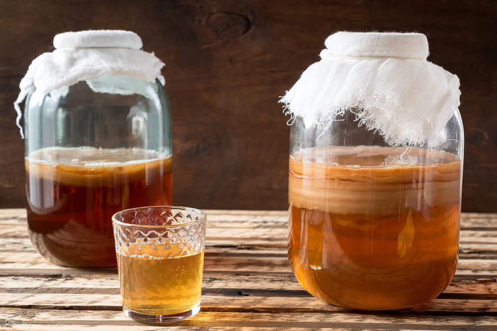 jars of kombucha 