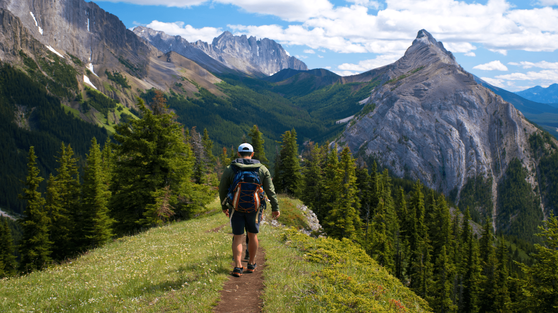 Person Walking In Nature Brain Study fMRI Scans Research