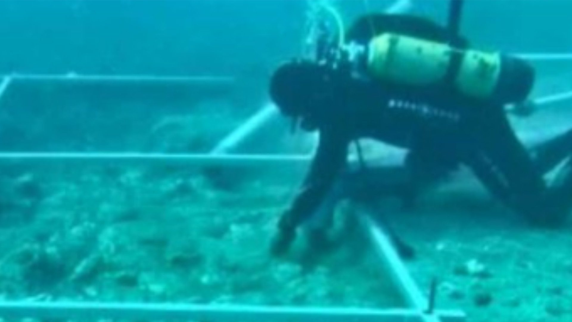 A diver investigating the underwater road off the island of Korčula