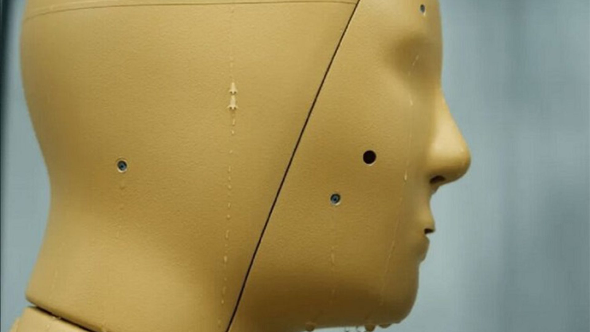 ASU's sweating robot called ANDI