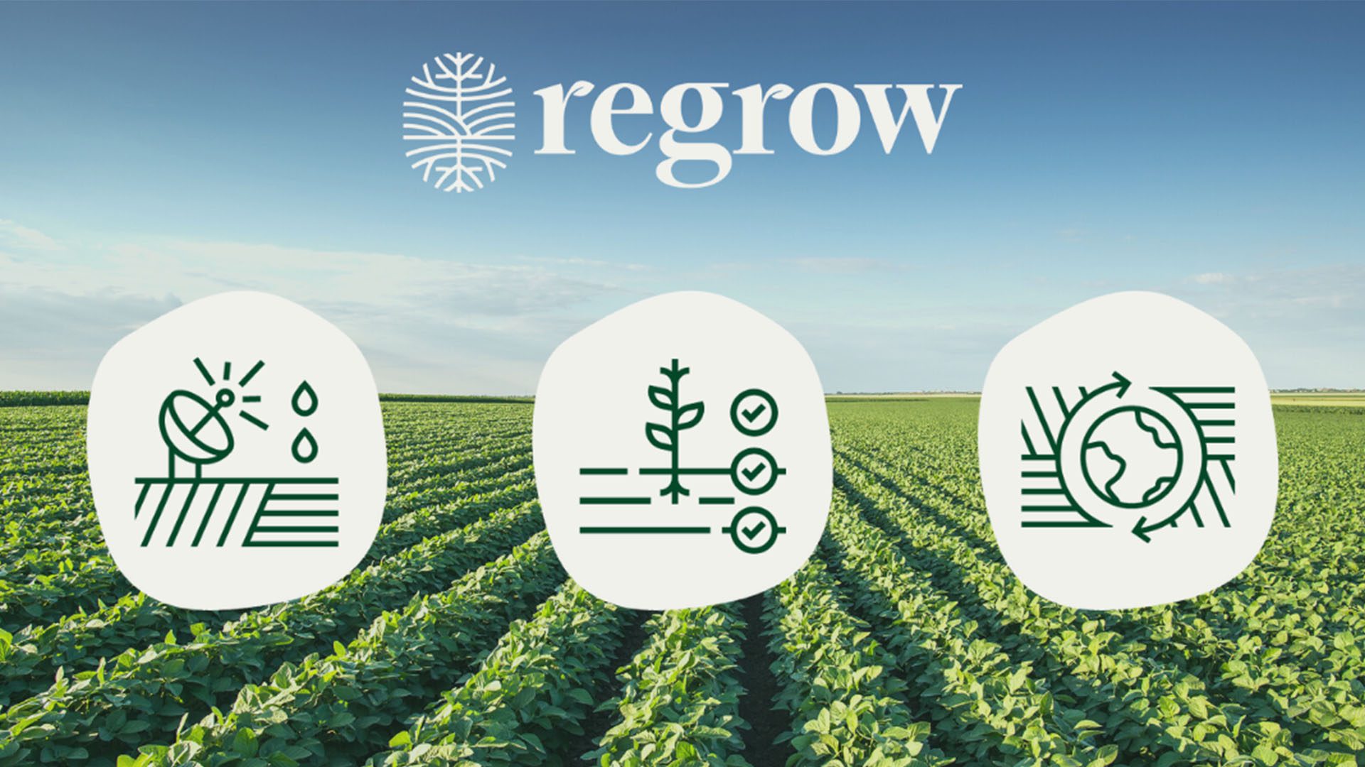 Regrow Ag inspirational sustainable company