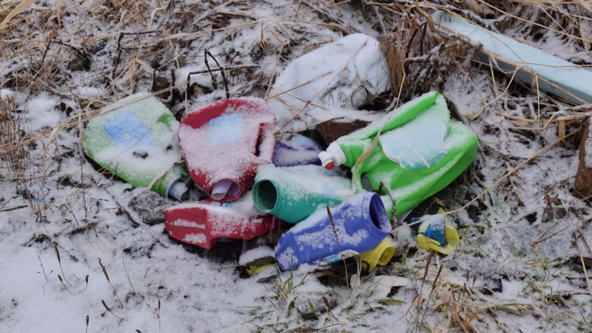 Scientists Discover Microbes That Break Down Plastic