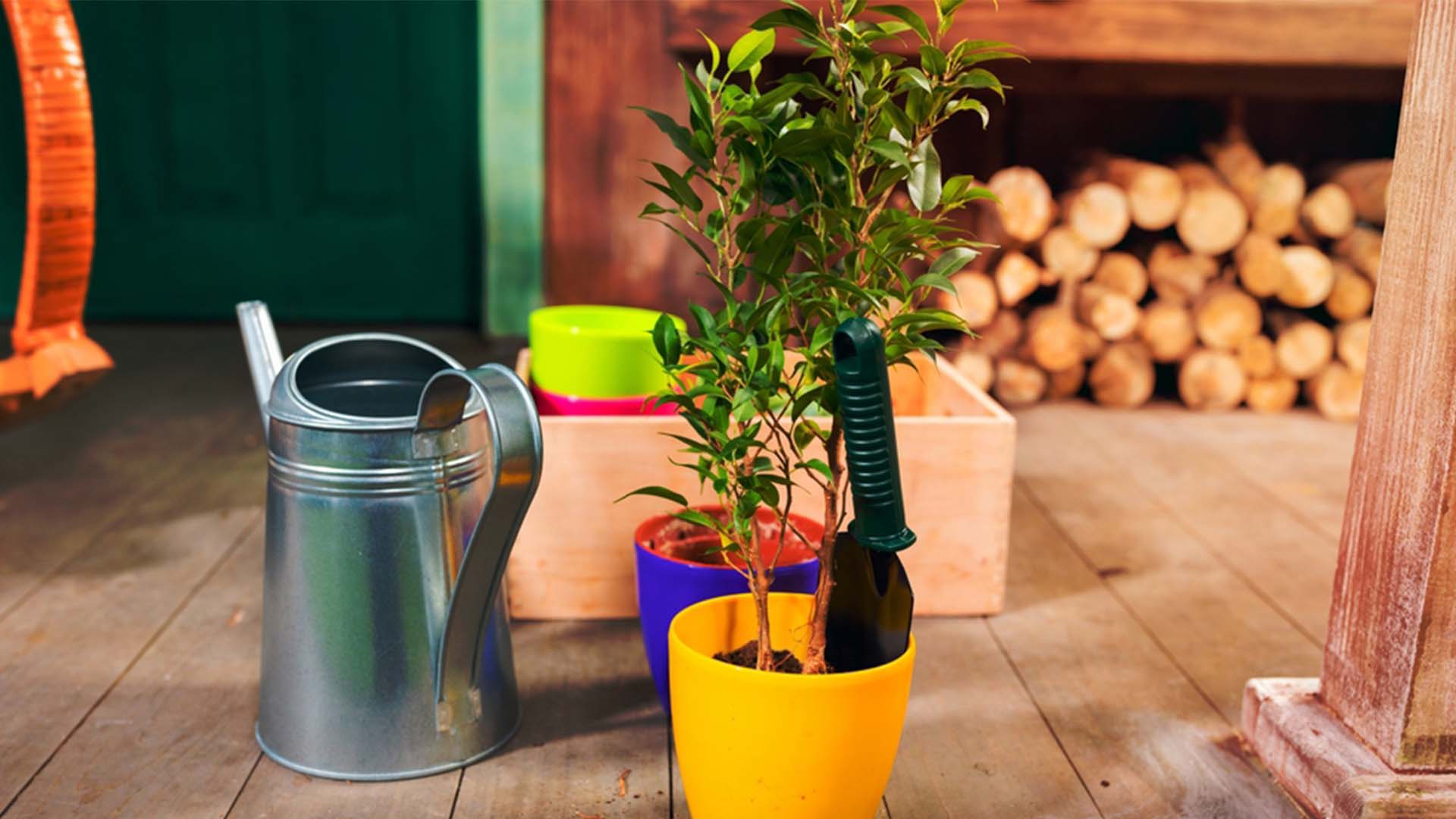 Watering Potted Porch Plants Summer