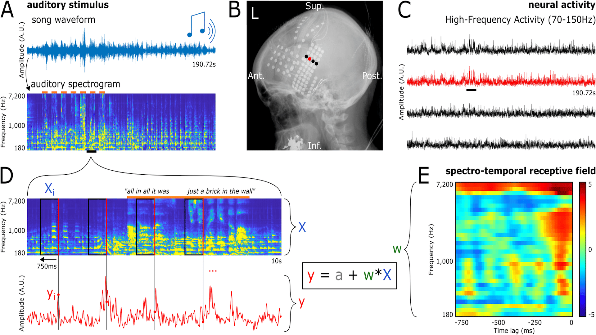 Protocol, data preparation, and encoding model fitting from the study