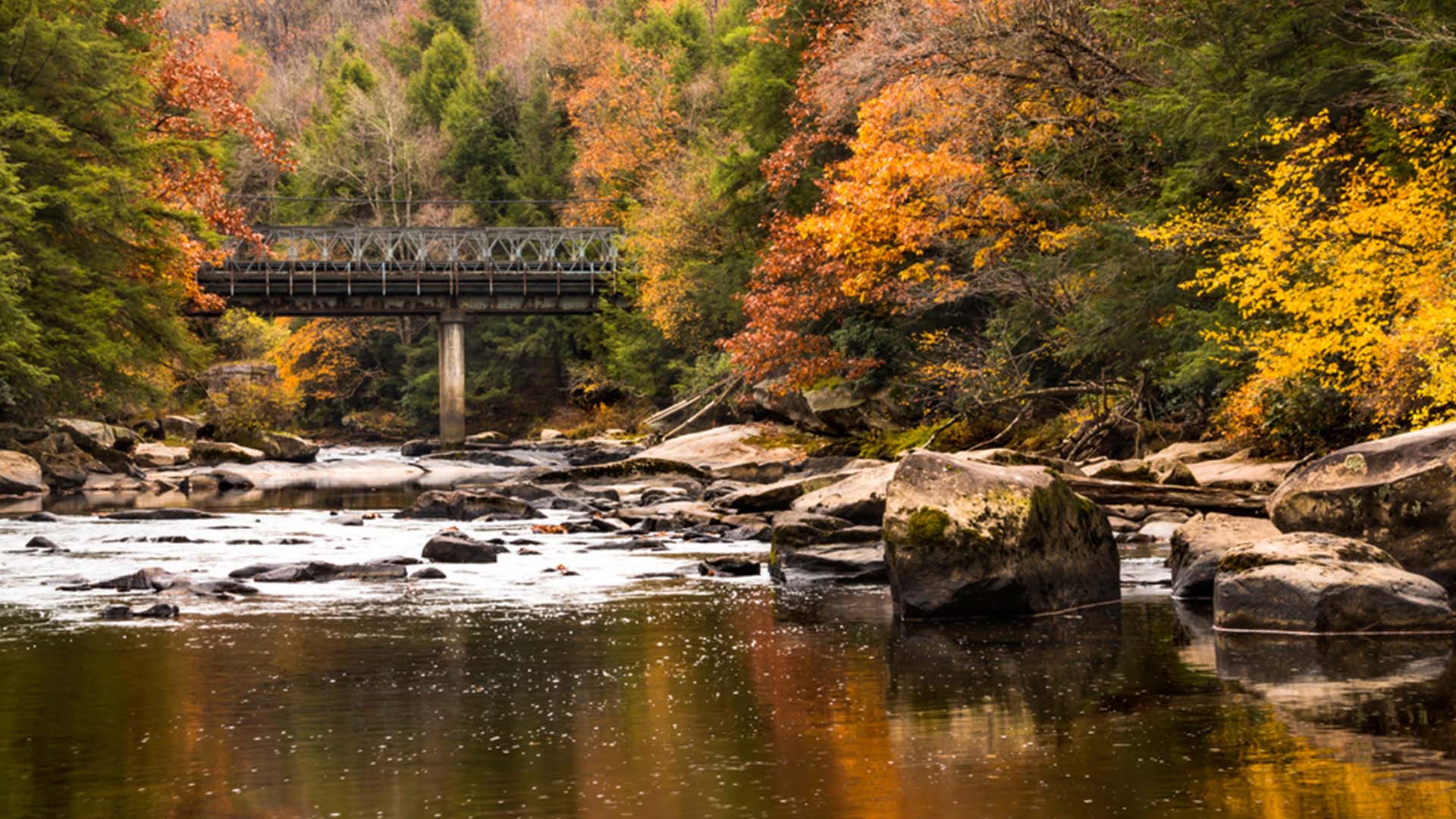 Oakland, Maryland Fall Foliage