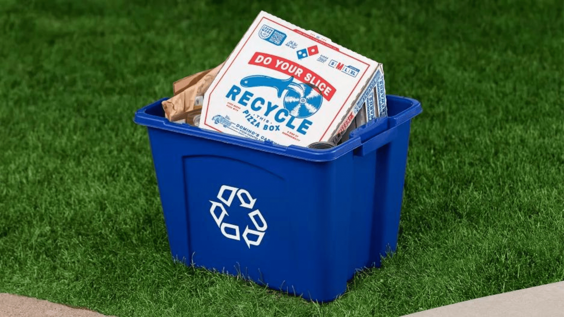 Domino's pizza box in the recycling bin