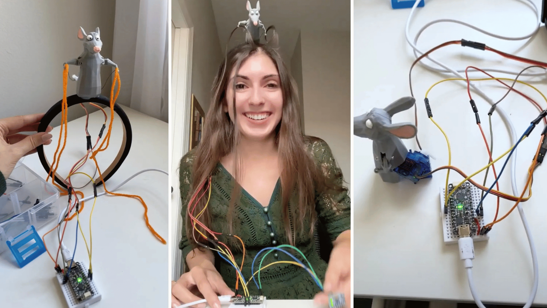 Software engineer designed a fully functional robotic Remy; Photo: Christina Ernst